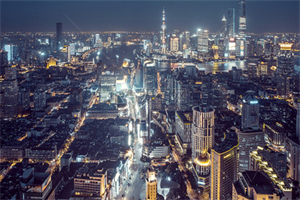 上海的草根 __ 与社会变革 上海的草根 __ 与社会变革